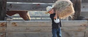 Read more about the article Life On The Ranch